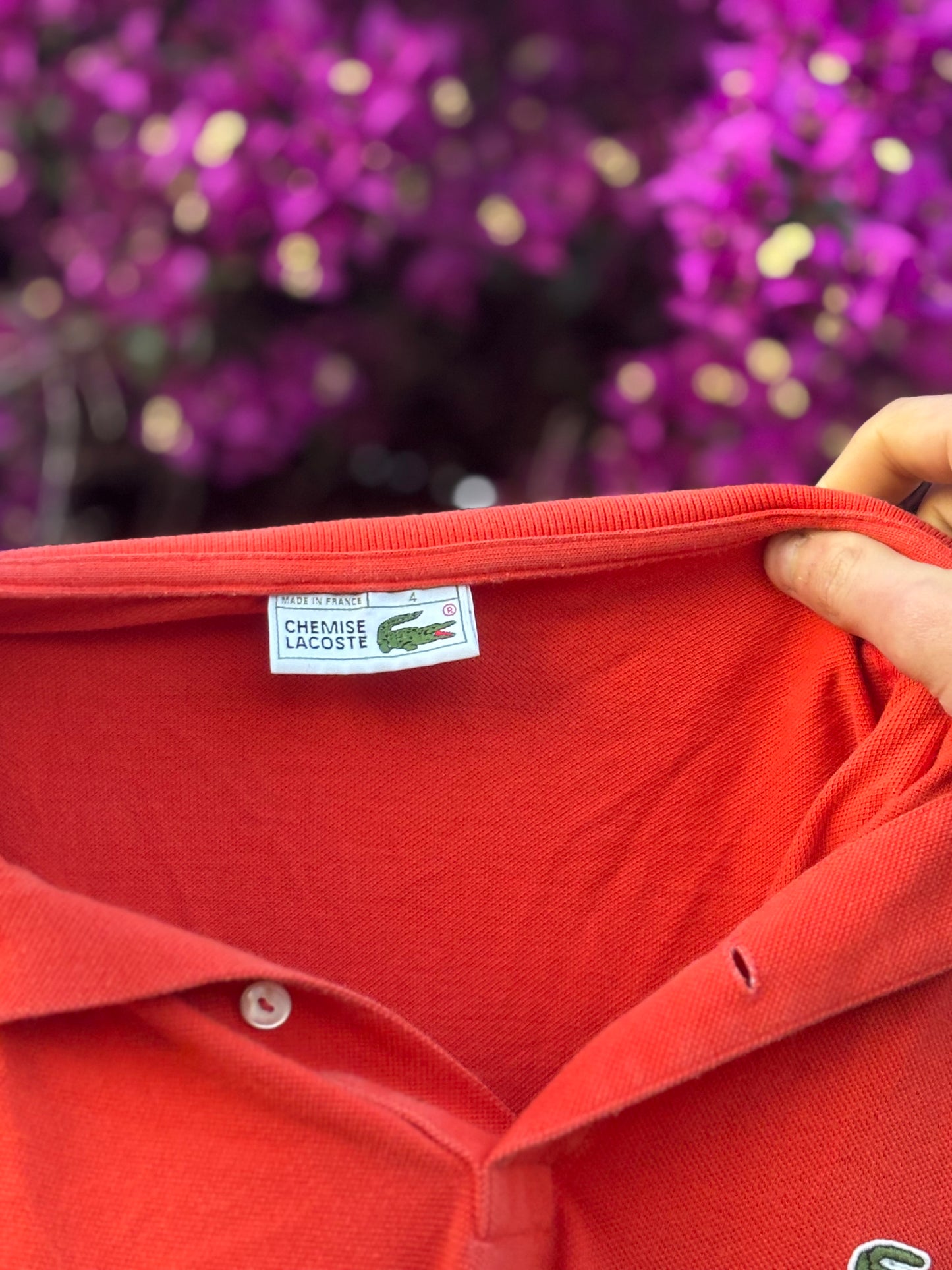 POLO LACOSTE